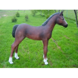 źrebak, konik C226c-h147x150cm Źrebak