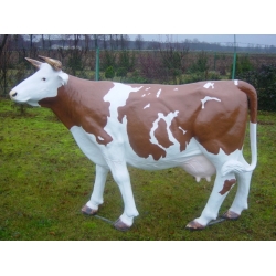 Krowa naturalna czerwono-biała C211i-155x216cm