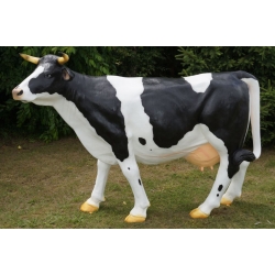 Krowa duża w łaty czarno-biała C211-h155x216cm