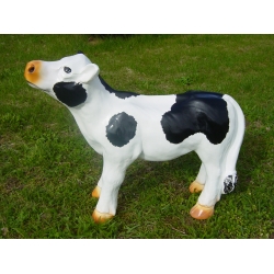 Cielak C450b-h60x72cm