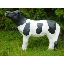 cielak z laminatu C450-H60x72cm