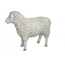 Duża owca stojąca C15- H64cm