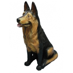 Owczarek niemiecki C1-86cm