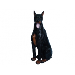 Pies Doberman siedzacy C2-86cm