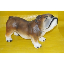 Pies Buldog C713-H37x60