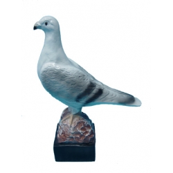 Gołąb C21-H36cm