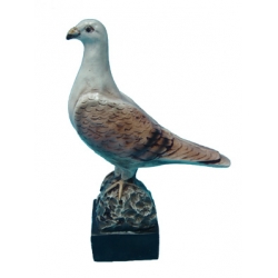 Gołąb C21a-H36cm