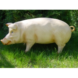 Duża świnia stojąca C27A-H48x100x40cm