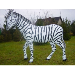 Zebra naturalna C463-H180x190cm