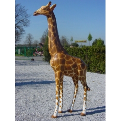Żyrafa C481-H210x38x110cm