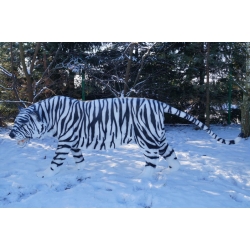 Tygrys w biało-czarne paski C531a-H90x245cm