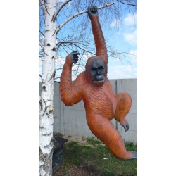 Orangutan wiszący C539-H242x100x60cm