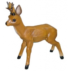 Jelonek średni C132b-55cm