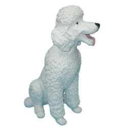 Pies Pudel siedzący C223-H63cm