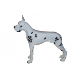 Dogg niemiecki C755-H111x130