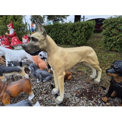 Dog niemiecki C755a-H111x130cm