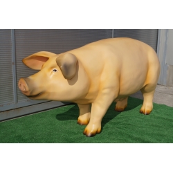 Maciora duża C838-H75x150cm
