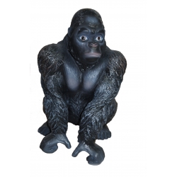 Goryl C860- H60x46cm