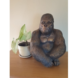 Goryl siedzący kolor mosiądz C957R-1-H40cm