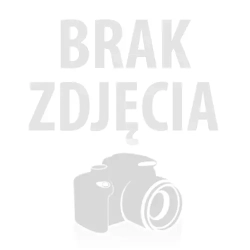 Pingwin duży - pomarańczowy wysoki połysk C810R-h120x50x75cm
